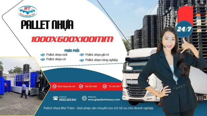 Pallet nhựa kích thước 1000x600x100mm