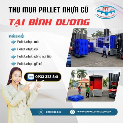 Thu mua pallet nhựa cũ tại Bình Dương